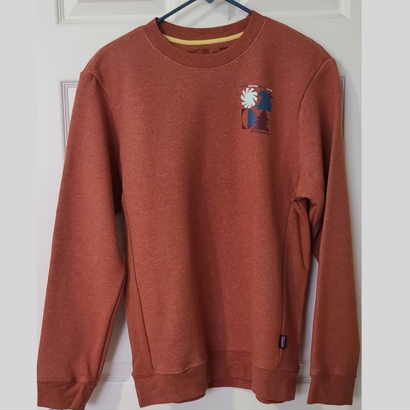 ⛔️SOLD⛔️ Patagonia sweatshirt - Picture 1 of 4